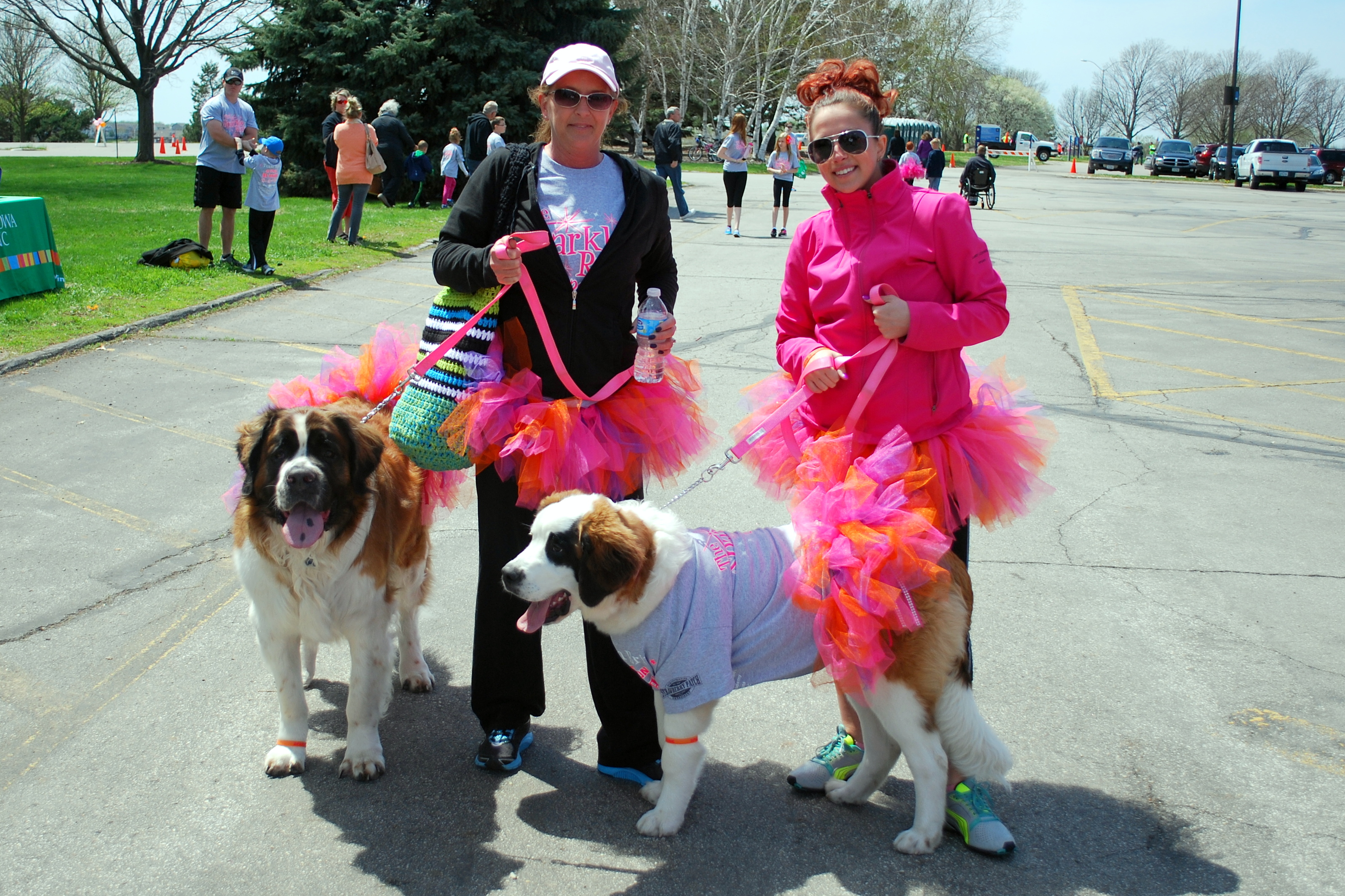 Dogs in Tutus
