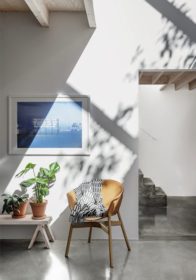 PETRUS_8506-kopia-700x1001